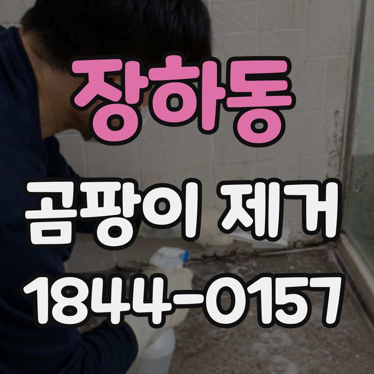 장하동 곰팡이 제거