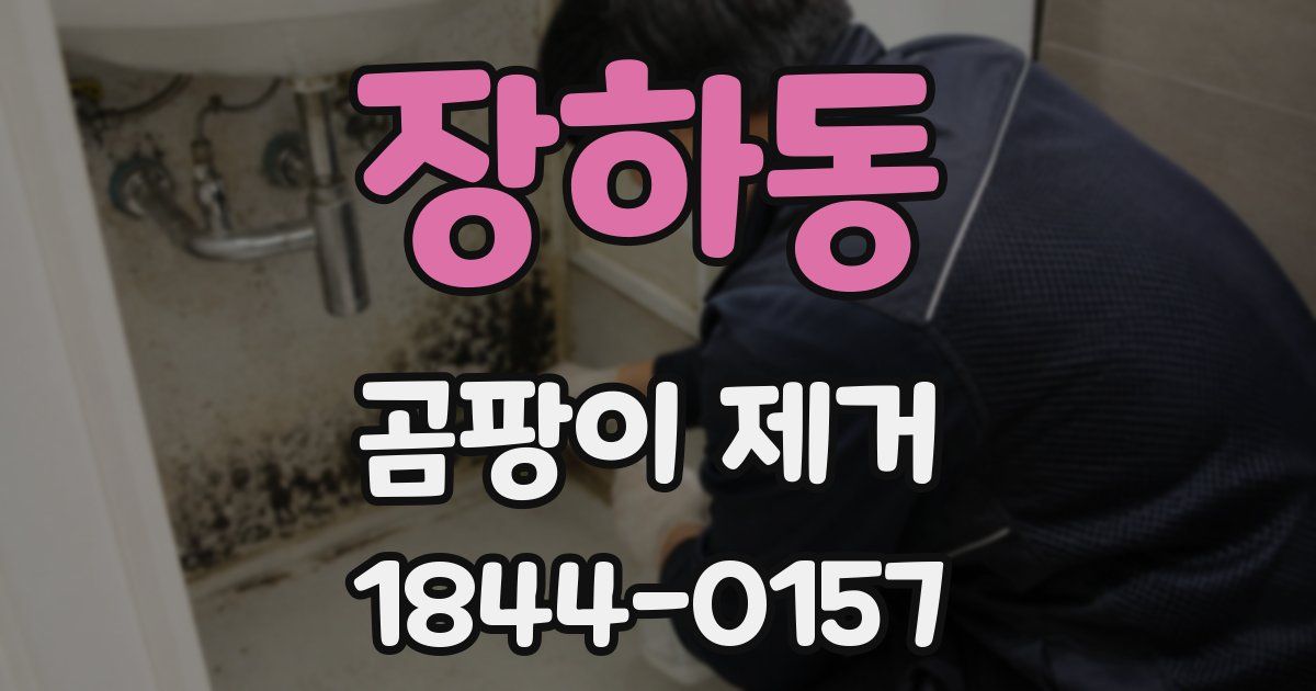 장하동 곰팡이 제거