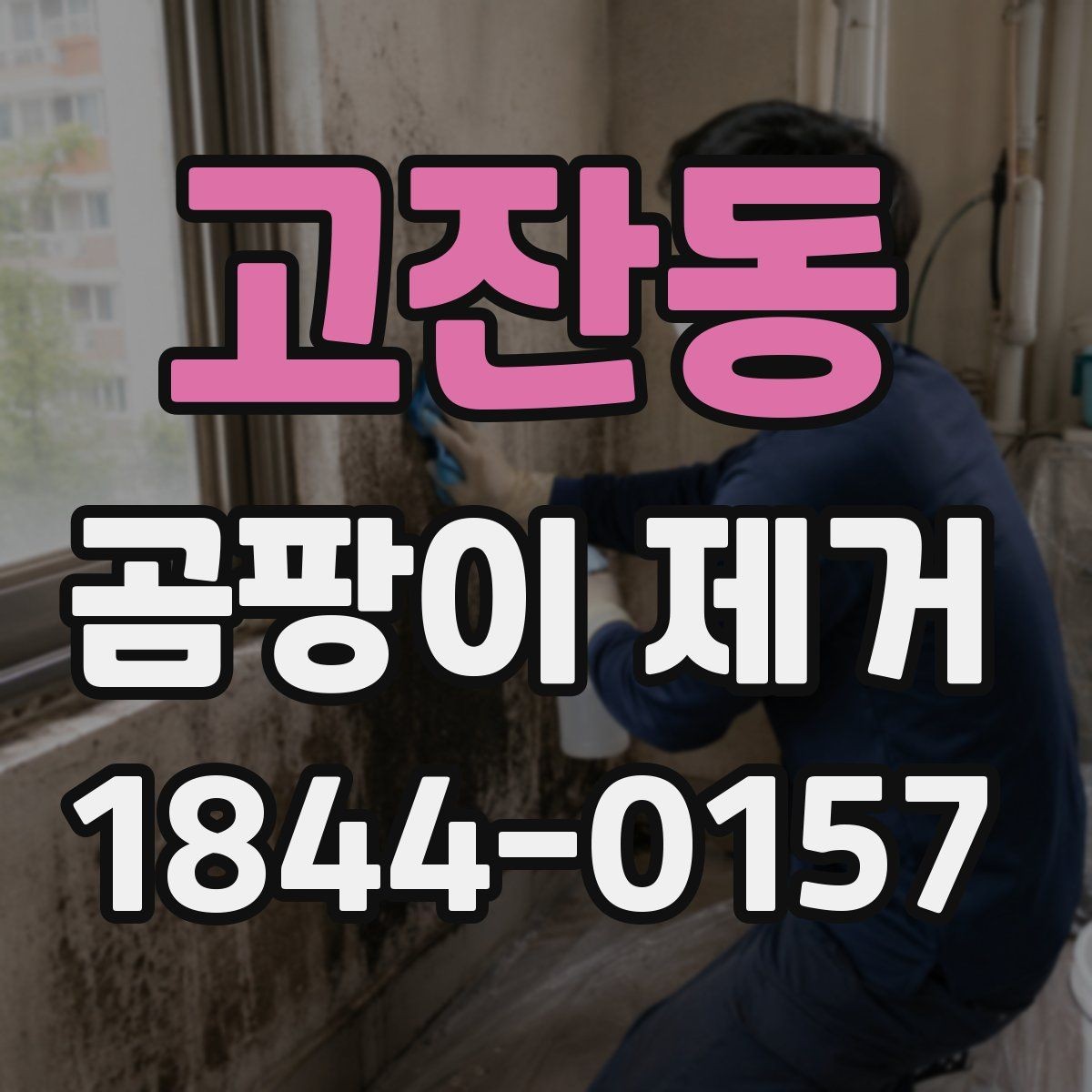고잔동 곰팡이 제거 전문 작업이 필요한 경우 알아보기
