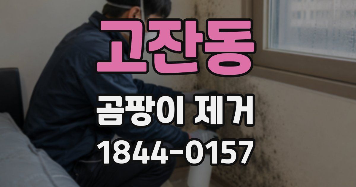 고잔동 곰팡이 제거