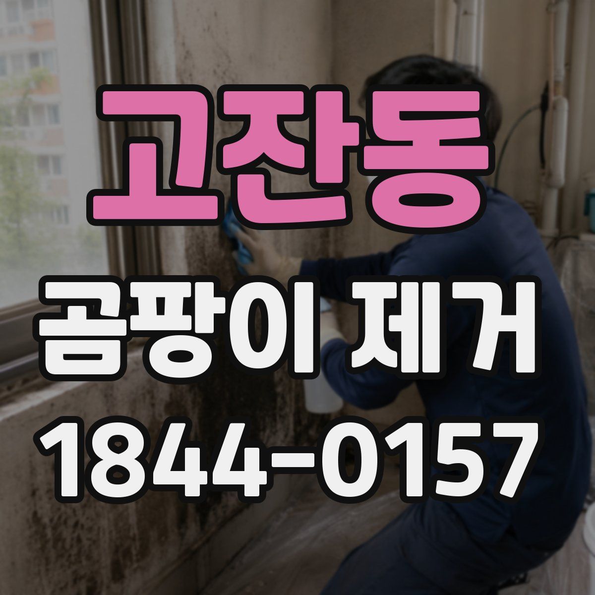 고잔동 곰팡이 제거