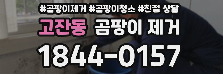 고잔동 곰팡이 제거