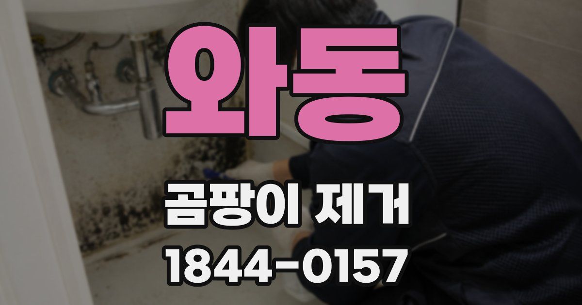 와동 곰팡이 제거