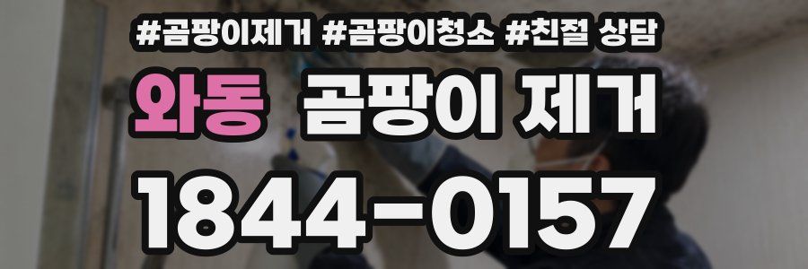 와동 곰팡이 제거