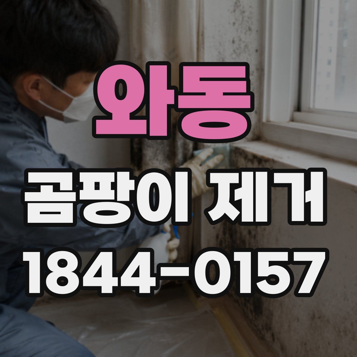 와동 곰팡이 제거