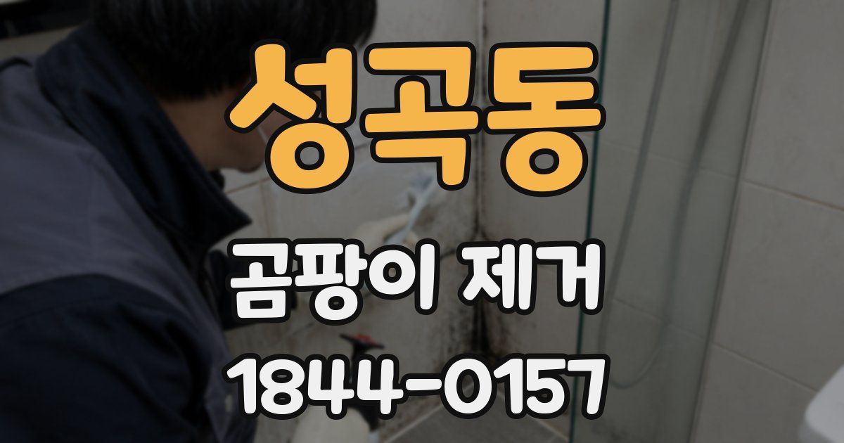 성곡동 곰팡이 제거