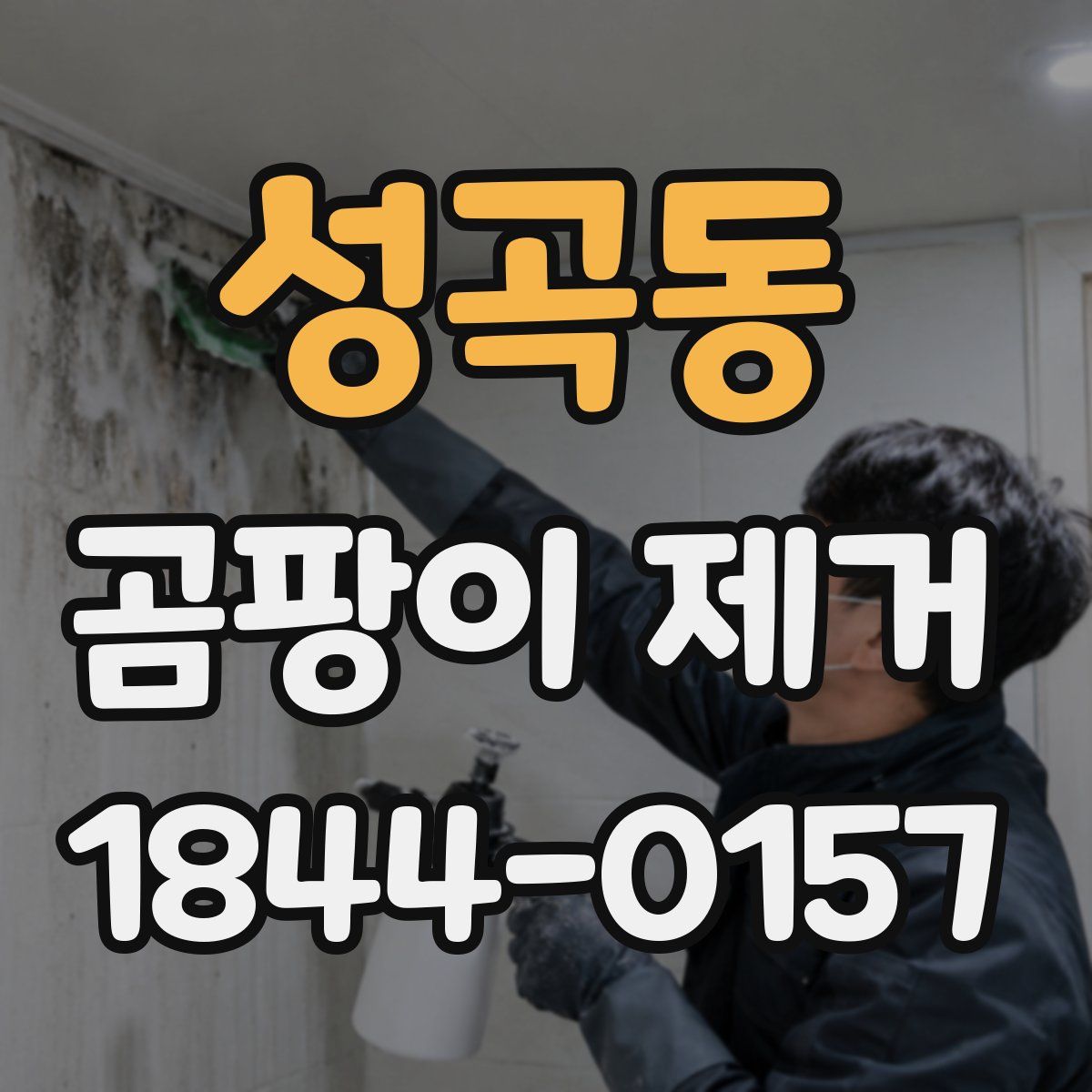 성곡동 곰팡이 제거