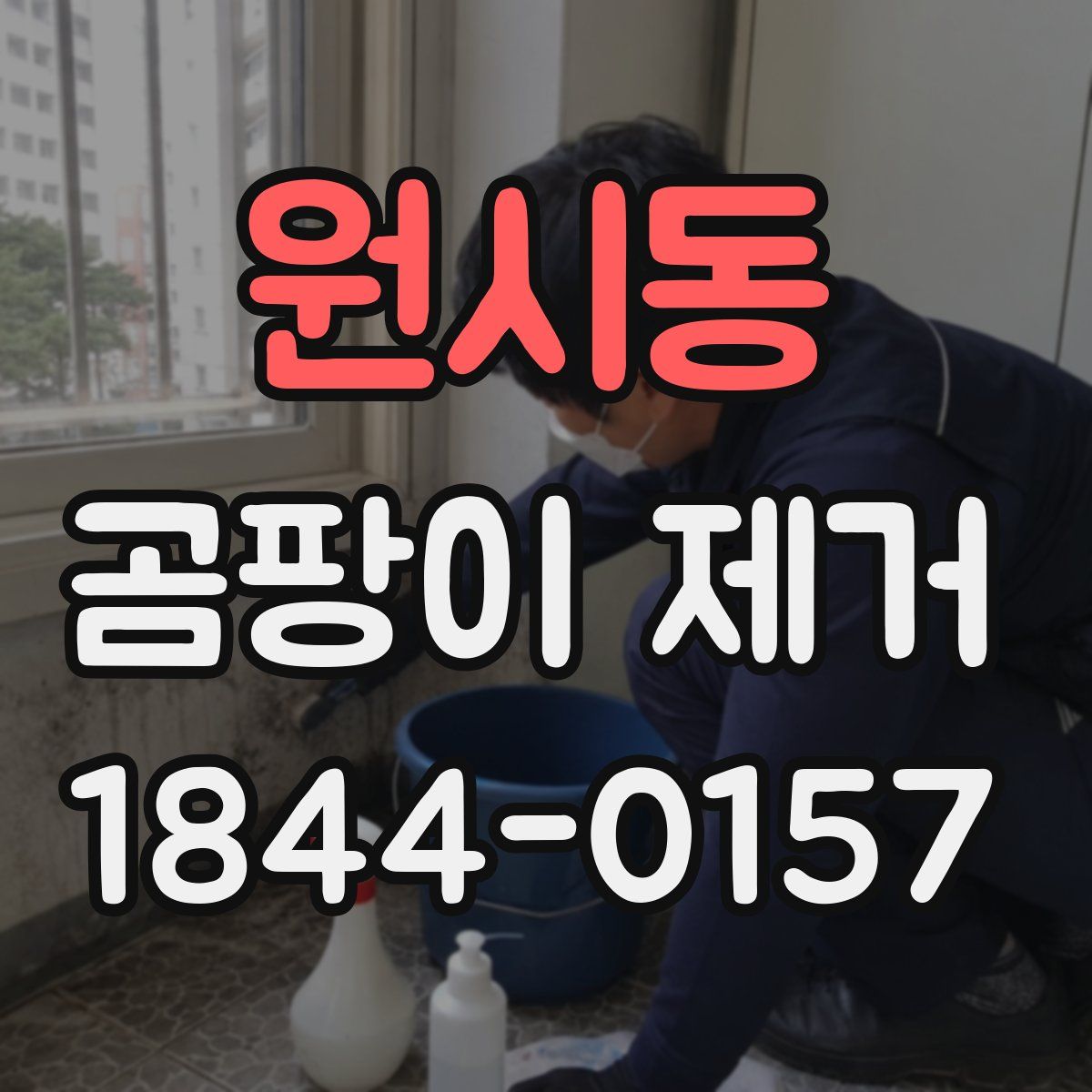 원시동 곰팡이 제거