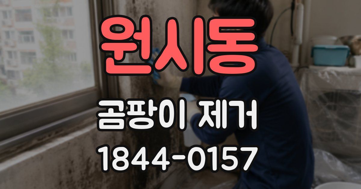 원시동 곰팡이 제거