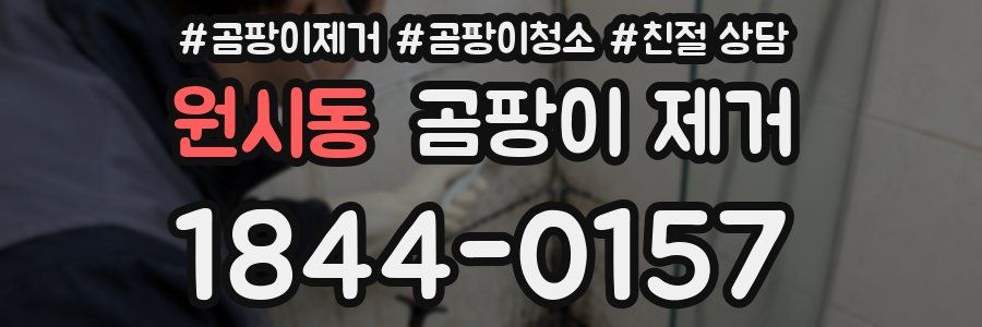 원시동 곰팡이 제거