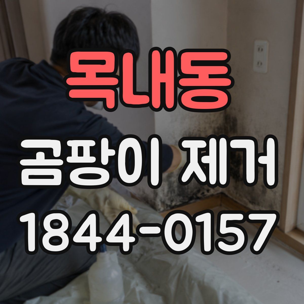 목내동 곰팡이 제거