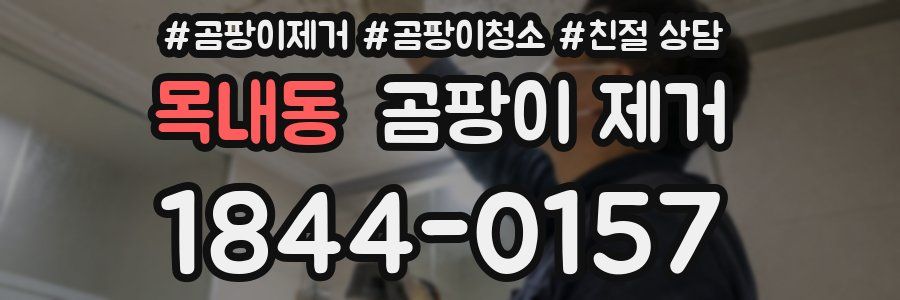 목내동 곰팡이 제거