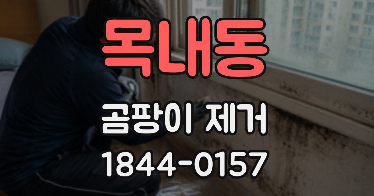 목내동 곰팡이 제거