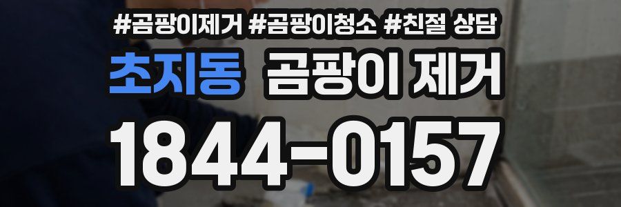 초지동 곰팡이 제거