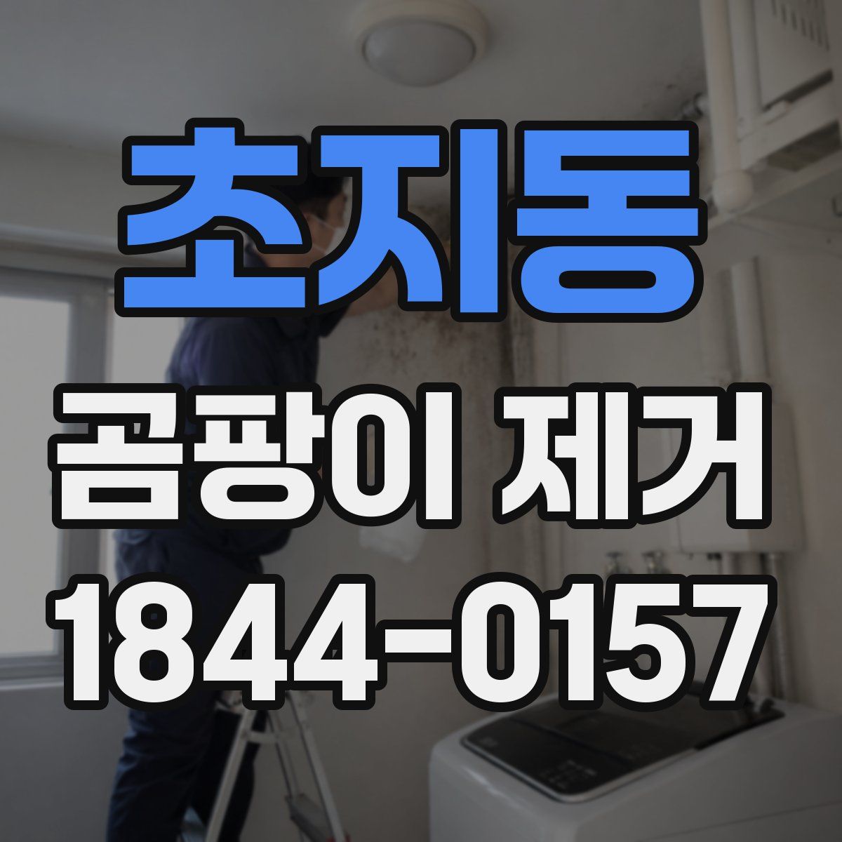 초지동 곰팡이 제거
