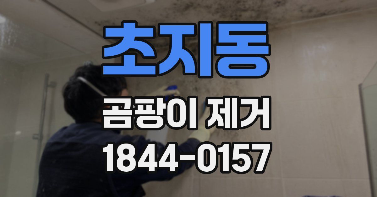 초지동 곰팡이 제거