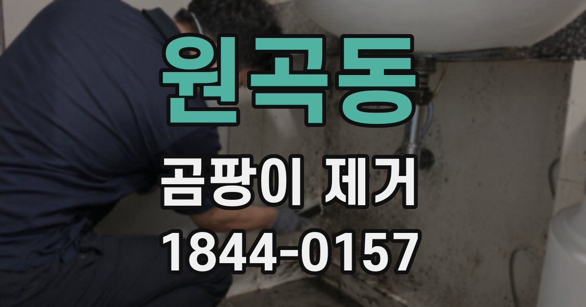 원곡동 곰팡이 제거
