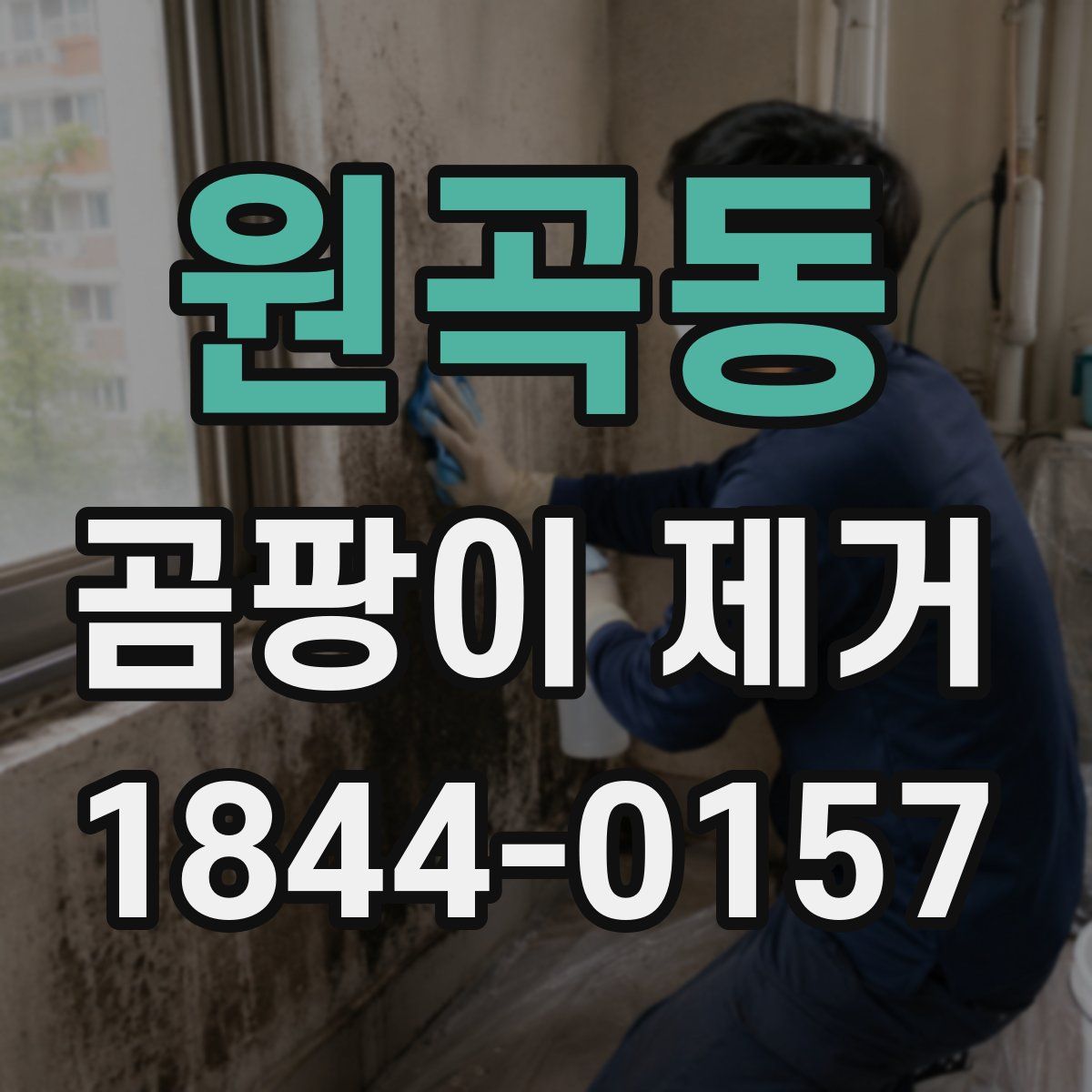 원곡동 곰팡이 제거