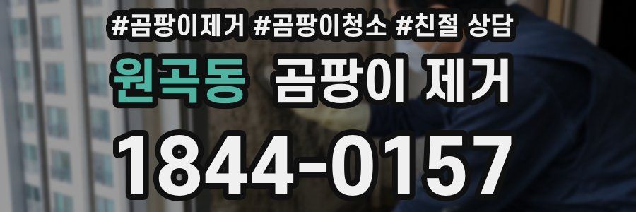 원곡동 곰팡이 제거