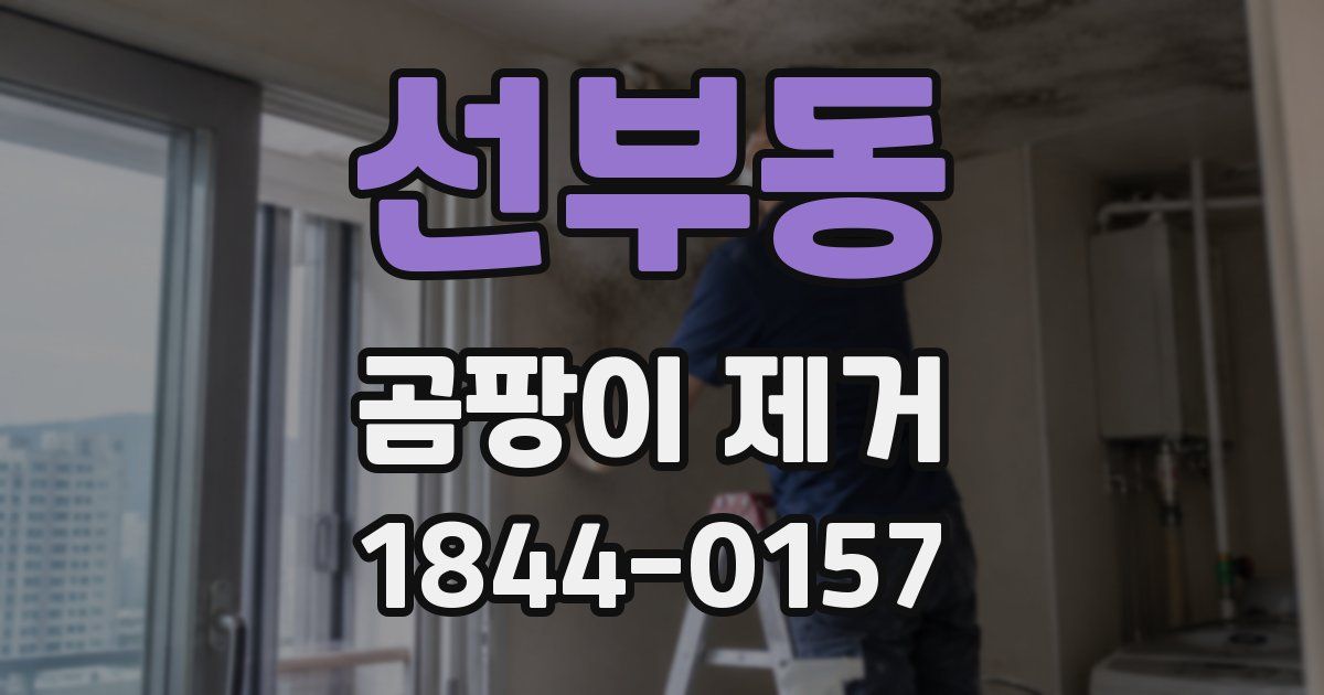선부동 곰팡이 제거
