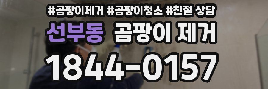 선부동 곰팡이 제거