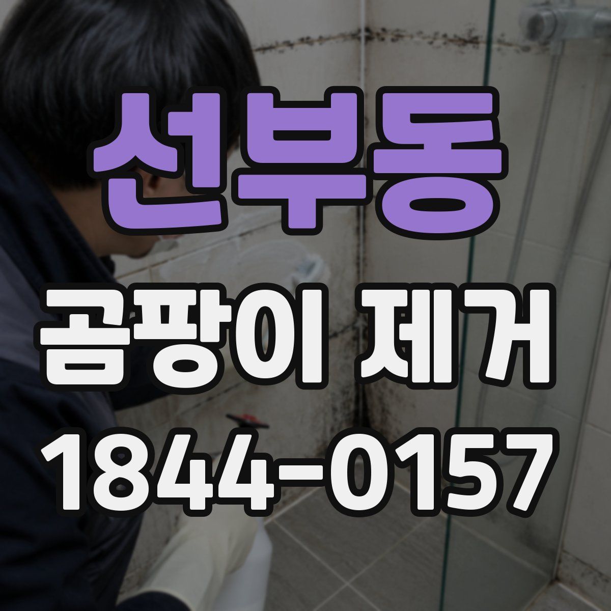 선부동 곰팡이 제거