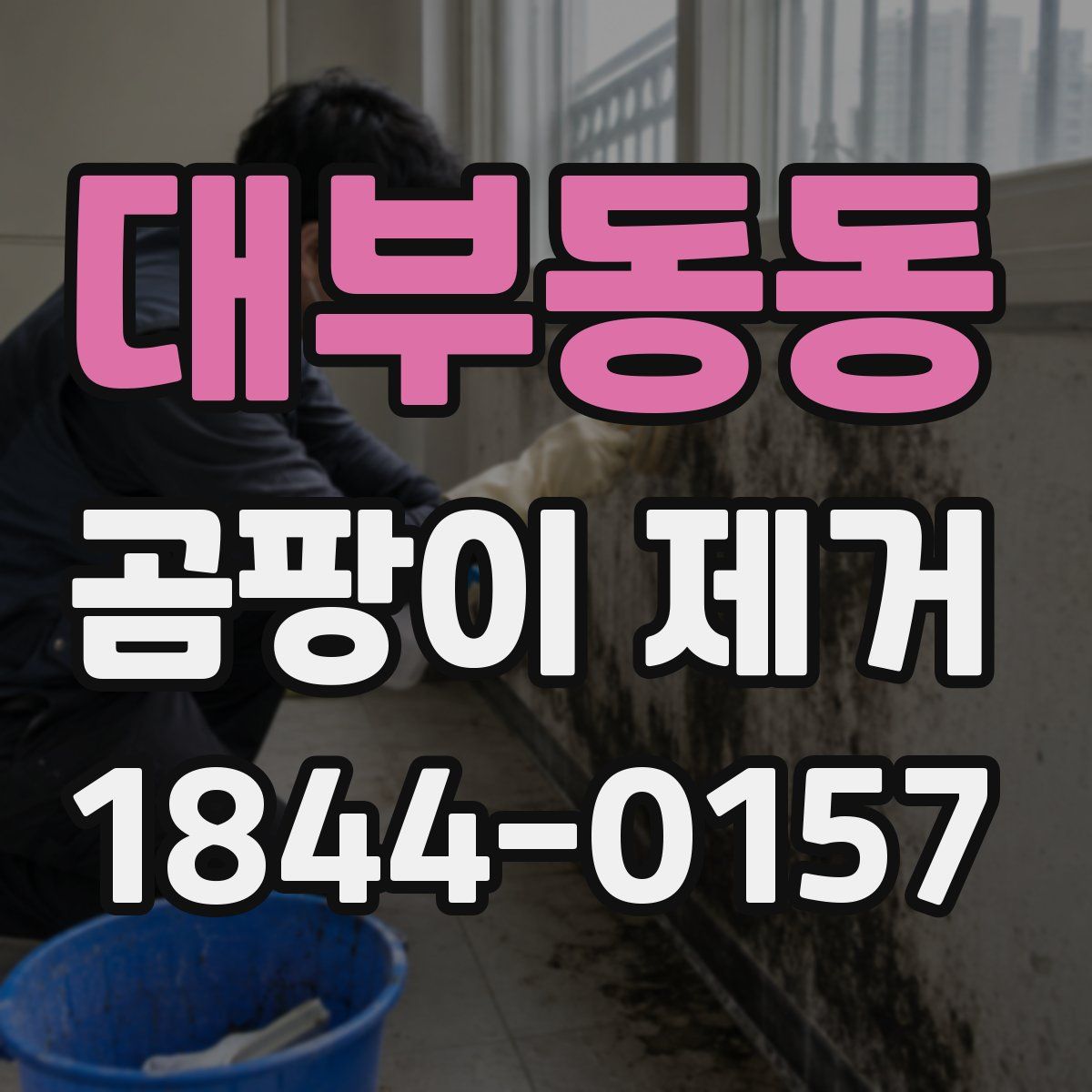 대부동동 곰팡이 제거
