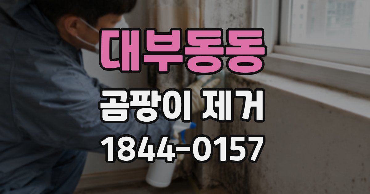 대부동동 곰팡이 제거