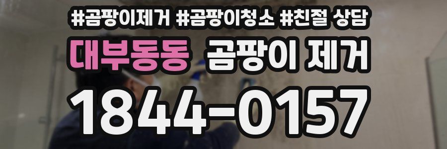 대부동동 곰팡이 제거
