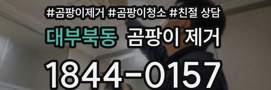 대부북동 곰팡이 제거