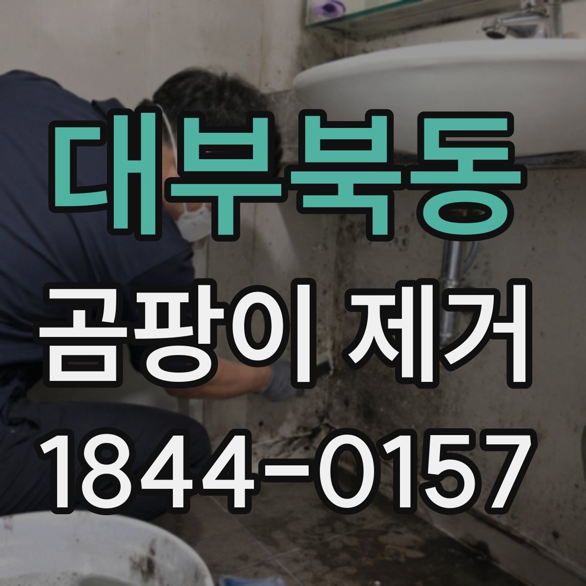 대부북동 곰팡이 제거