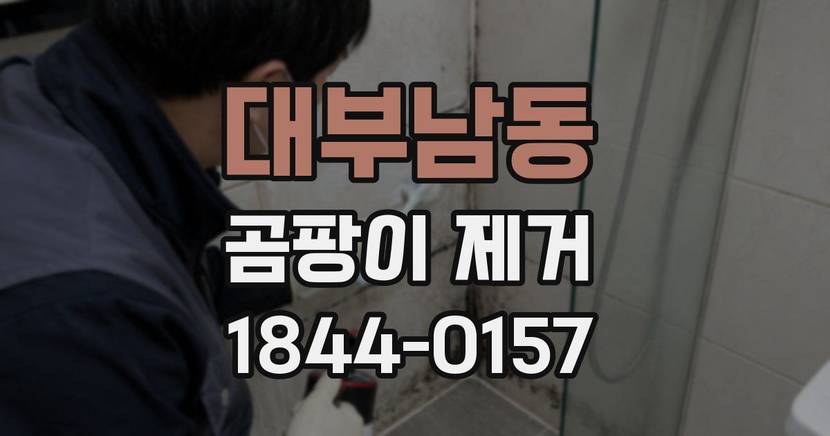 대부남동 곰팡이 제거
