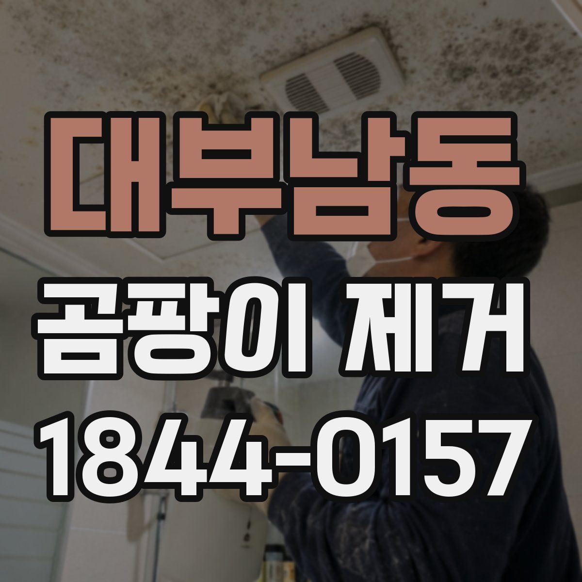 대부남동 곰팡이 제거