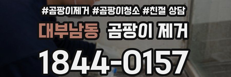 대부남동 곰팡이 제거