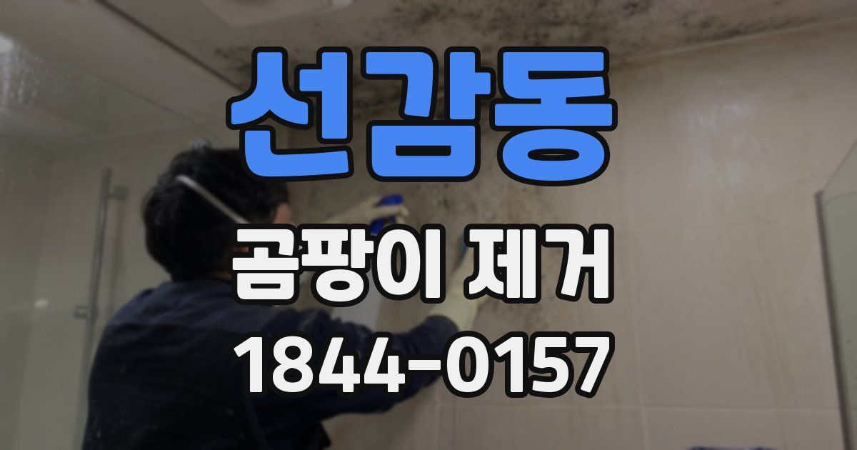 선감동 곰팡이 제거