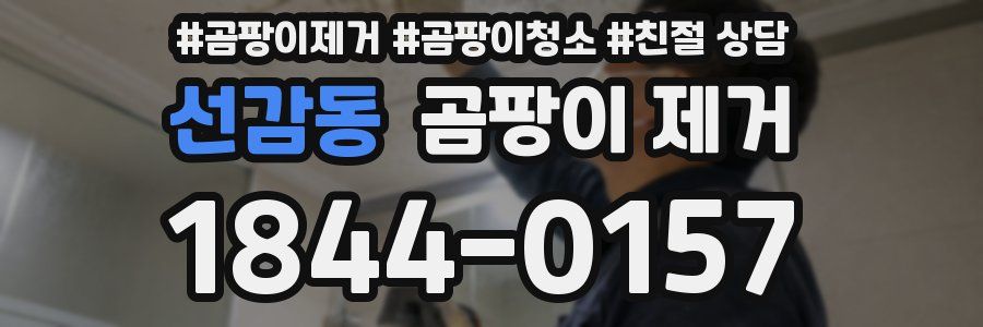 선감동 곰팡이 제거
