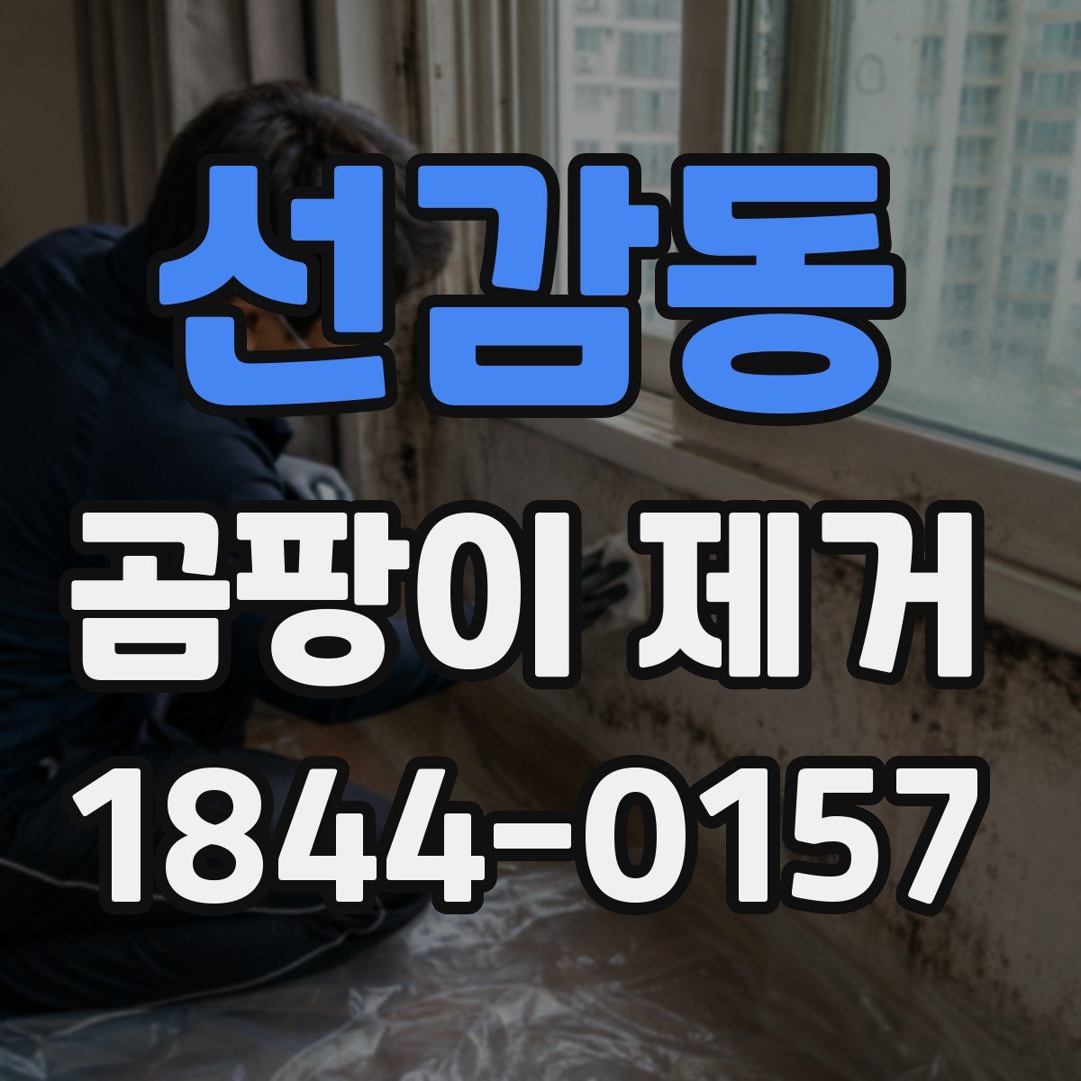 선감동 곰팡이 제거