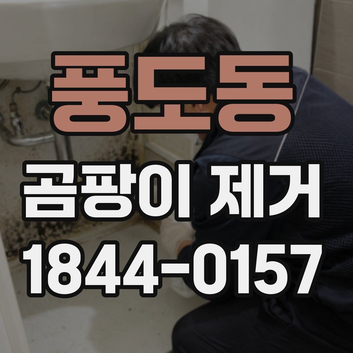 풍도동 곰팡이 제거 작은 면적과 넓은 면적의 차이