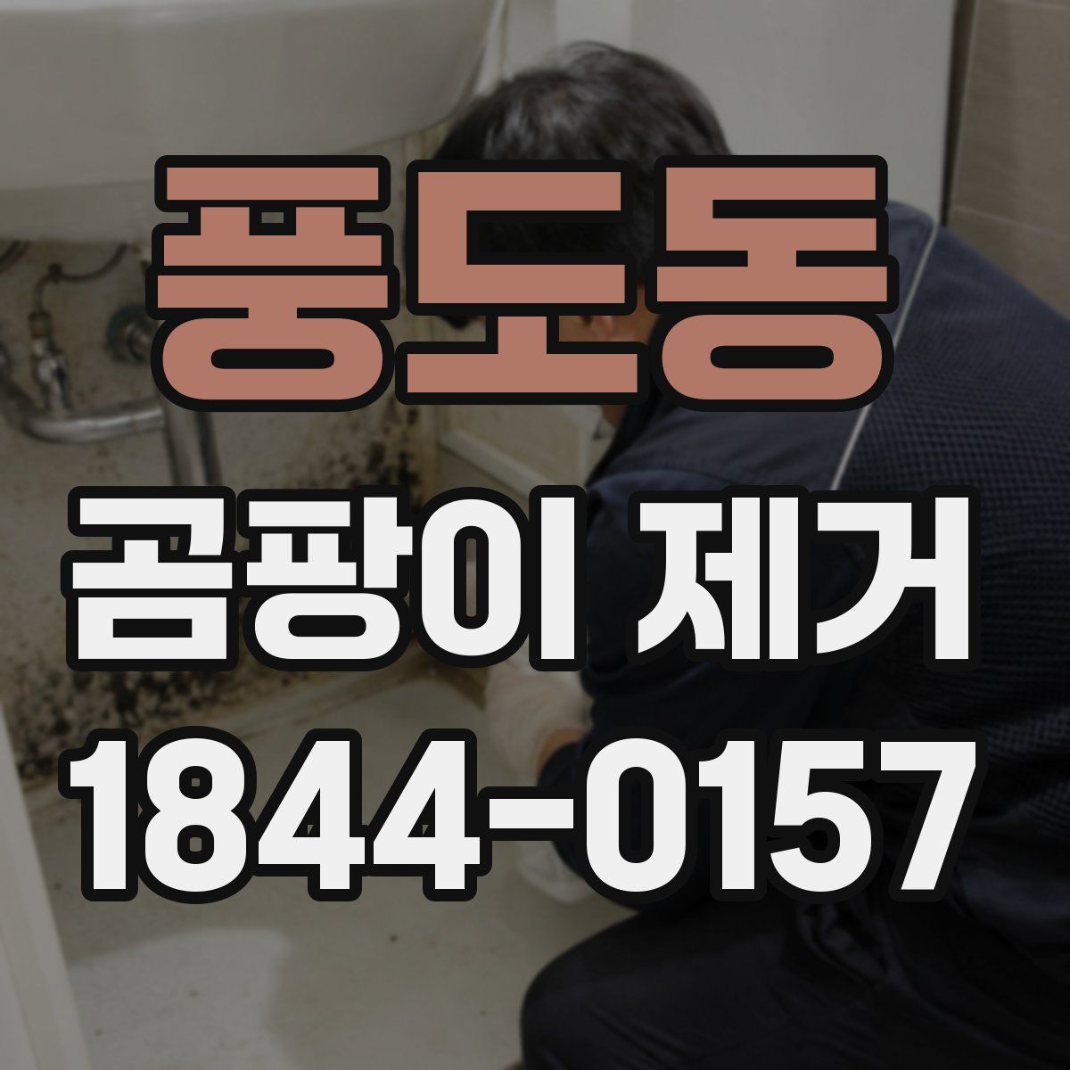 풍도동 곰팡이 제거