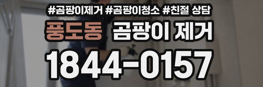 풍도동 곰팡이 제거