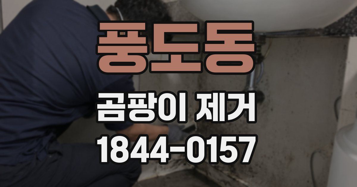 풍도동 곰팡이 제거