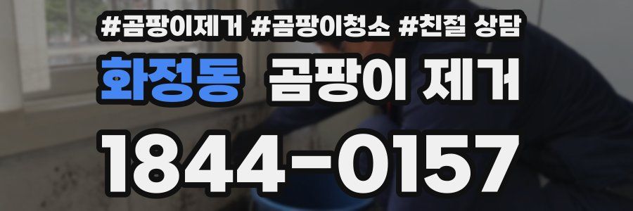 화정동 곰팡이 제거