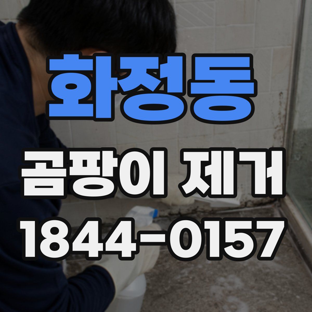화정동 곰팡이 제거