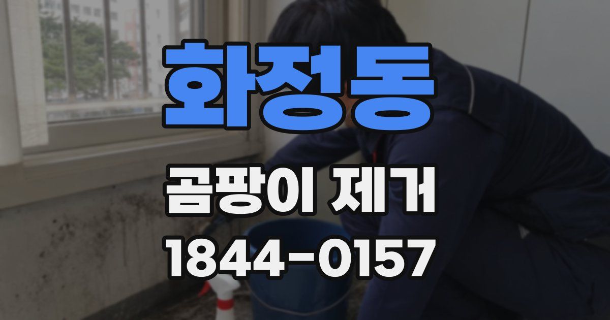 화정동 곰팡이 제거