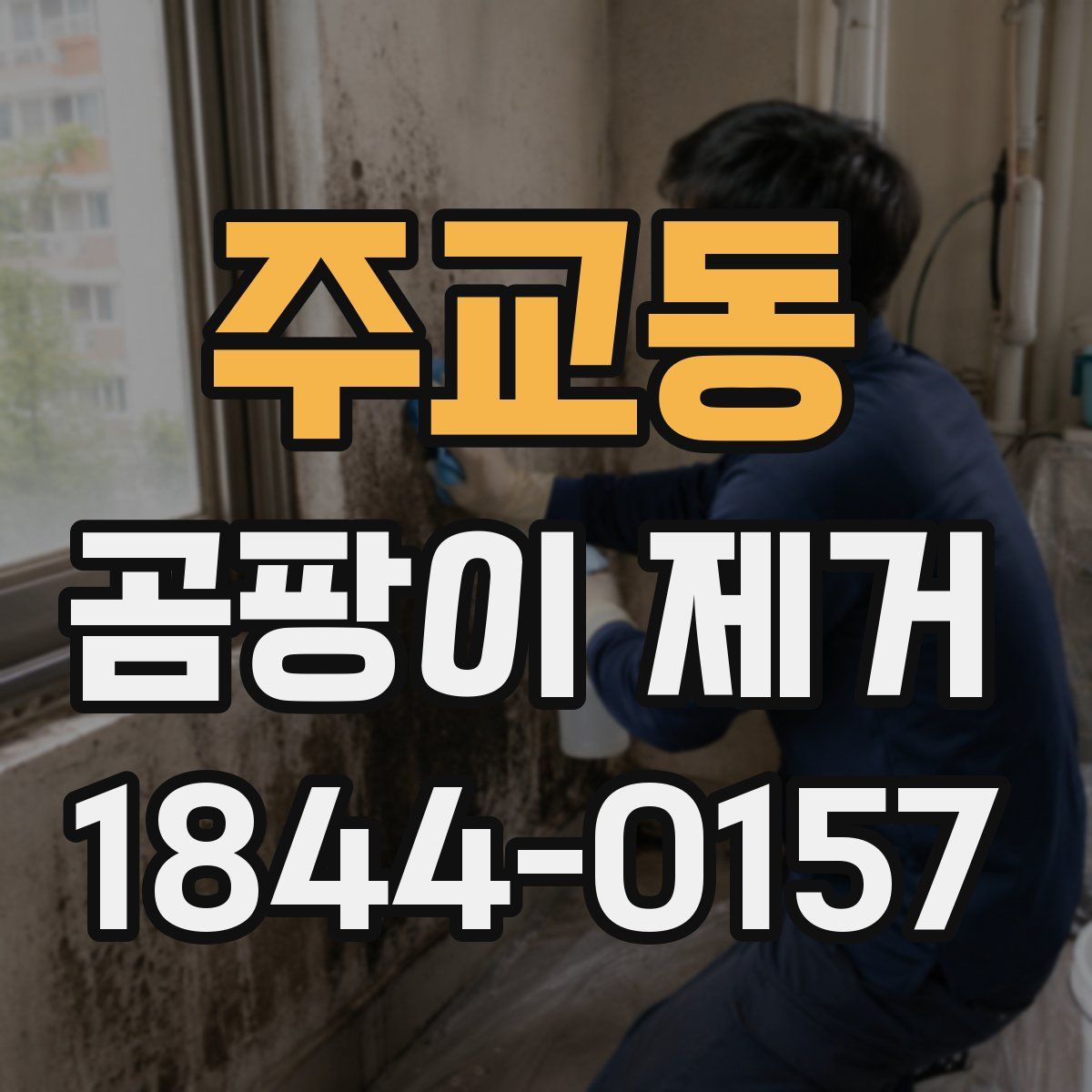 주교동 곰팡이 제거