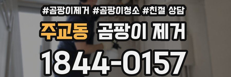 주교동 곰팡이 제거