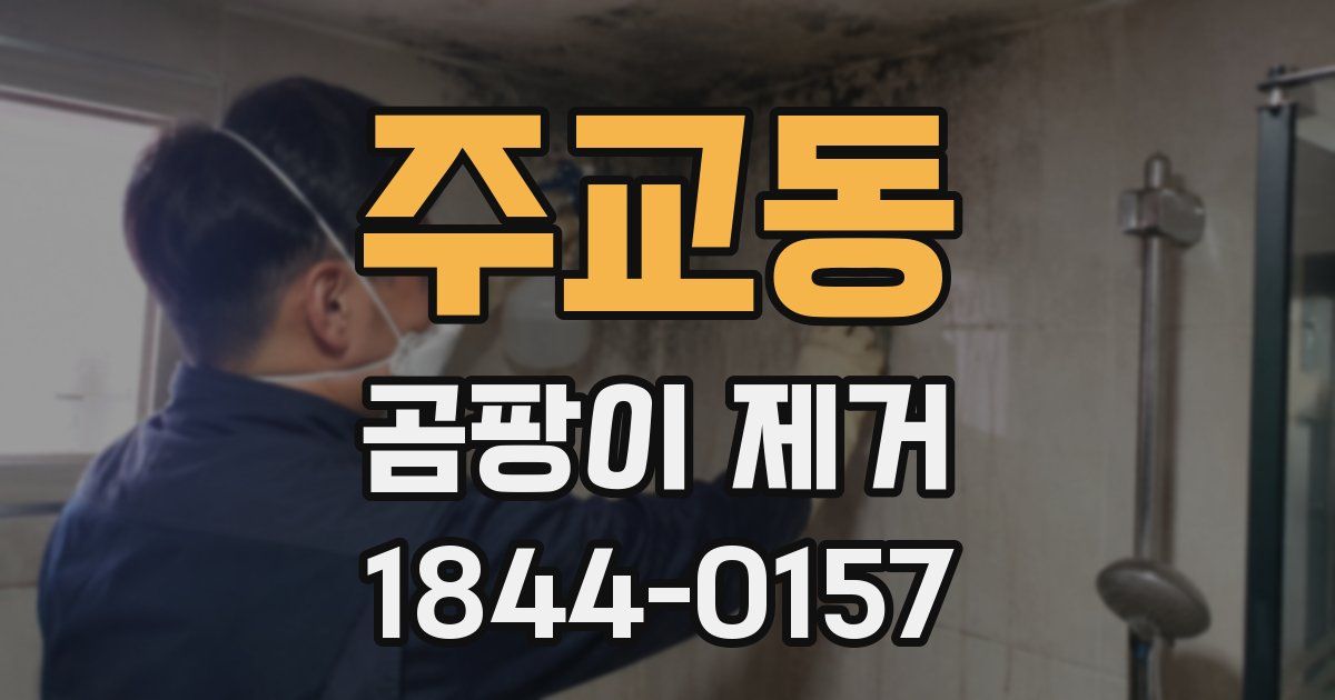 주교동 곰팡이 제거