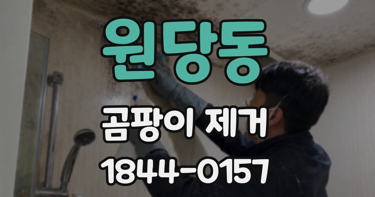 원당동 곰팡이 제거