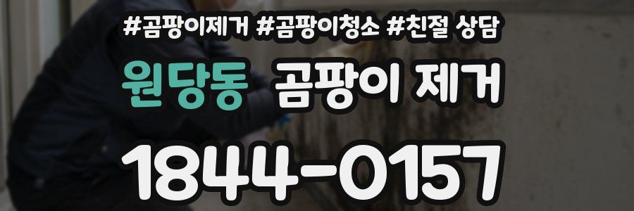 원당동 곰팡이 제거