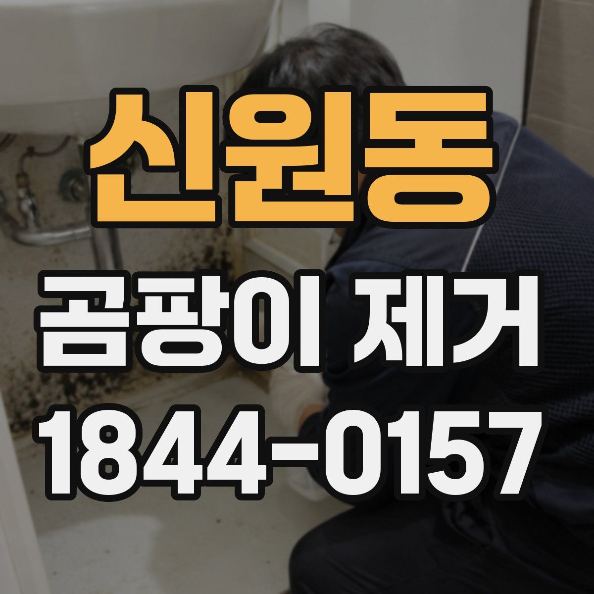 신원동 곰팡이 제거